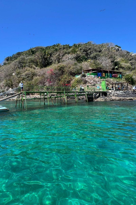Coral Island Guayabitos Beach and Snorkeling - Experience Highlights