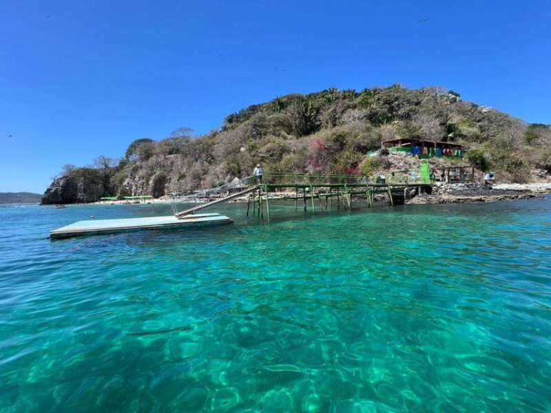 Coral Island Guayabitos Beach and Snorkeling - Tour Inclusions