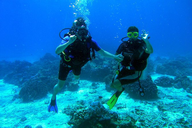 Coral Island Half-day Tour - Good To Know