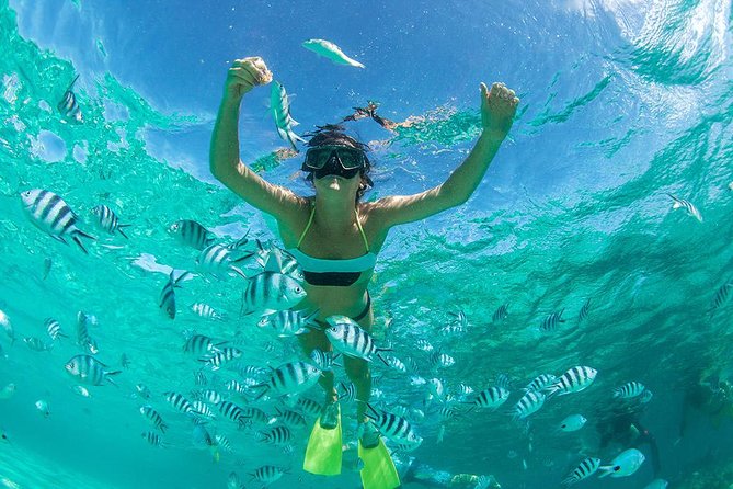 Coral Island Half-day Tour - Schedule and Confirmation