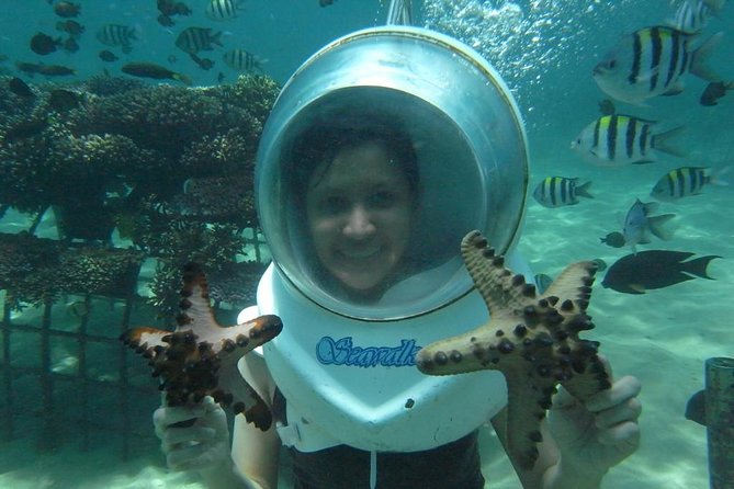 Coral Island Half-day Tour - Accessibility and Participation