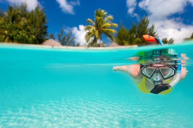 Coral Island Half-Day Trip From Pattaya - Key Points