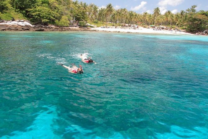 Coral Island Tour by Speedboat - Tour Inclusions