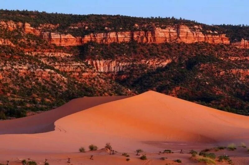 Coral Pink Sand Dunes: UTV Sunset Ride - What to Expect from the Coral Pink Sand Dunes Sunset Ride