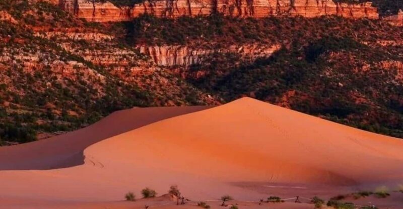 Coral Pink Sand Dunes: UTV Sunset Ride - Who Should Consider This Tour?