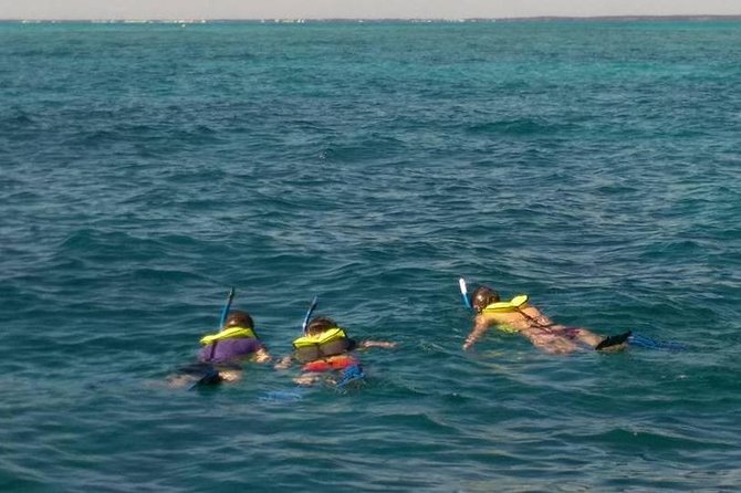 Coral Reef Private Snorkel Tour Out to John Pennekamp Coral Reef State Park - Marine Life Highlights