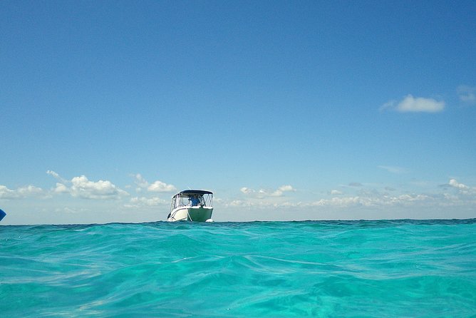 Coral Reef Private Snorkel Tour Out to John Pennekamp Coral Reef State Park - Included in the Tour
