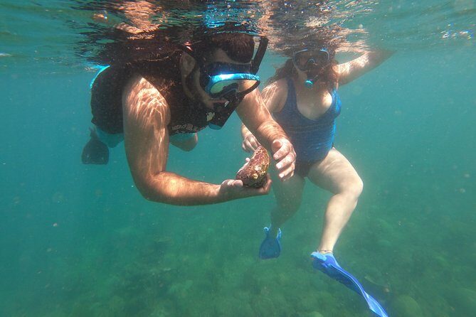 Coral Reef Snorkel Adventure with Photos and Videos - Who Is This Tour Best For?