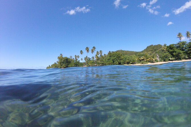 Coral Reef Snorkel Adventure With Photos and Videos - Meeting Point and Pickup Details