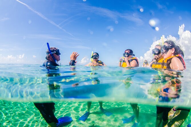 Coral Reef Snorkeling Expedition From Cancun With Beachside Lunch - Inclusions and Transportation
