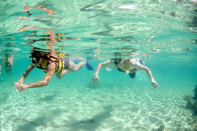 Coral Reef Snorkeling Expedition From Cancun With Beachside Lunch - Booking and Confirmation Details