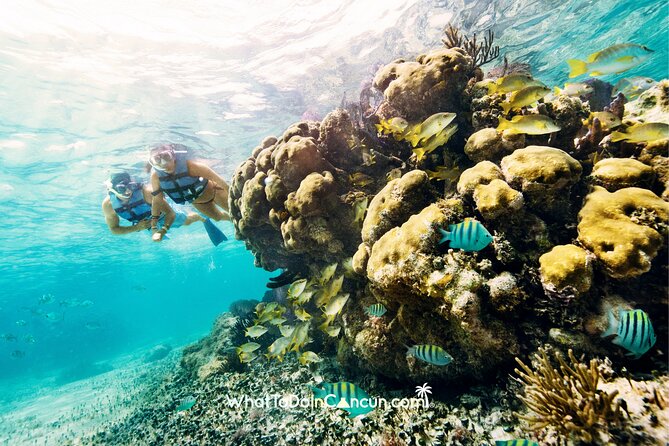 Coral Reef Snorkeling Expedition From Cancun With Beachside Lunch - Destination and Location