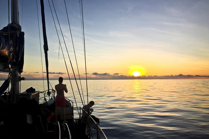 Coral Sea Dreaming: Overnight Dive, Snorkel & Sail From Cairns - Included Activities and Amenities