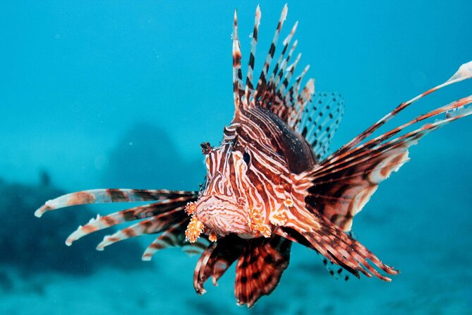Coral Sea Dreaming: Overnight Dive, Snorkel & Sail From Cairns - Onboard Purchases and Merchandise