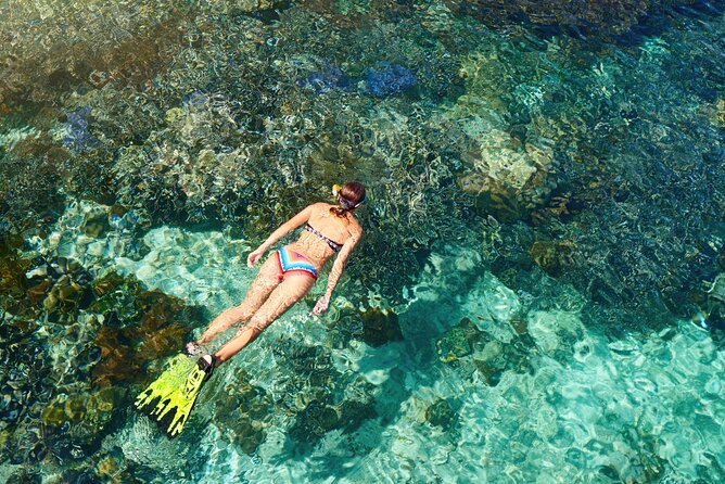 Coral Snorkeling Private Tour in Punta Cana With Seafood Lunch - What to Expect
