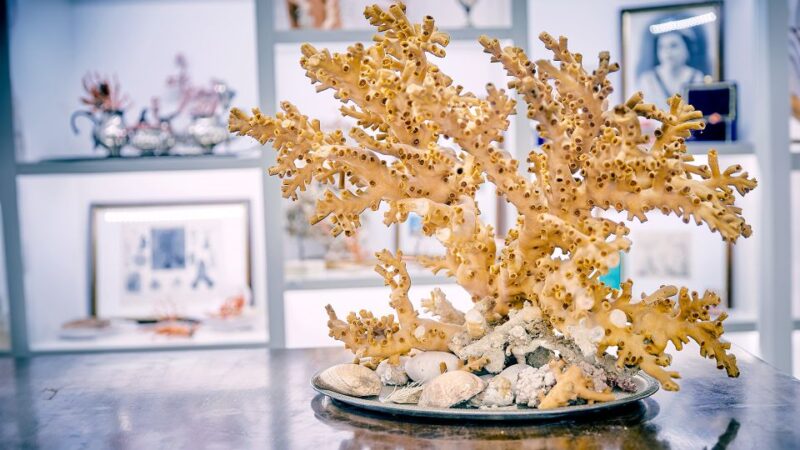 Coral Workshop and Visit of the Museum in Sicacca - Key Points