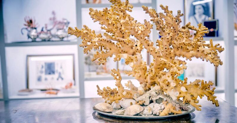 Coral Workshop and Visit of the Museum in Sicacca - Pricing and Booking Details