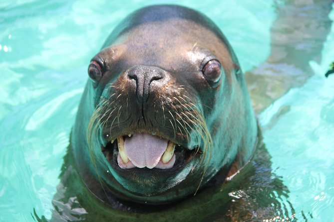 Coral World Ocean Park General Admission Ticket - Recommended for Families