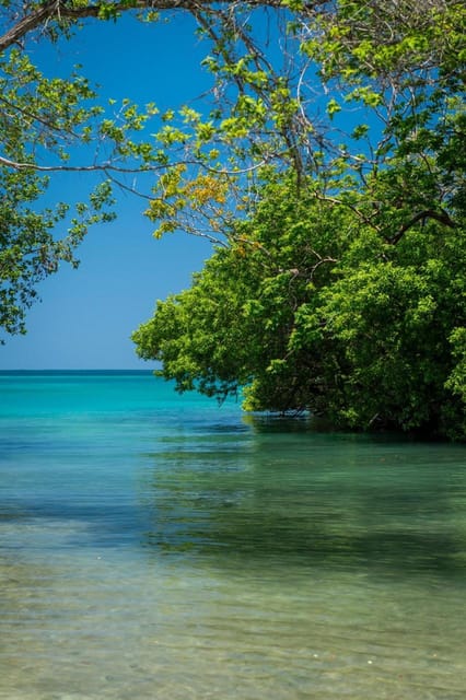 Coralina Islands Day Trip With Carriage Ride Cartagena - Language and Group Options