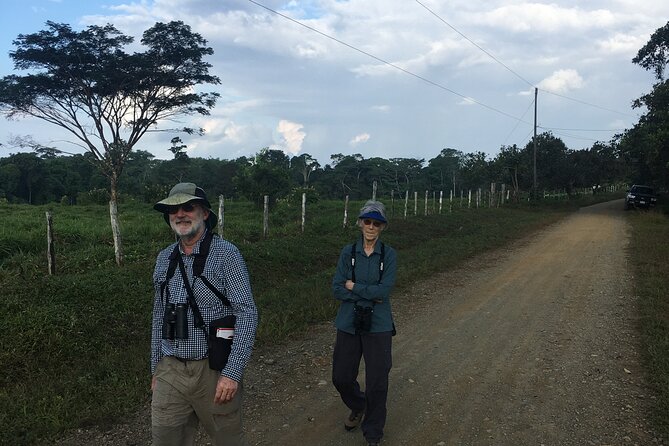 Corcovado Los Planes Birding Tour - Exploring Corcovado National Park