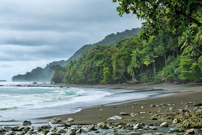 Corcovado National Park One Day Tour - Key Points