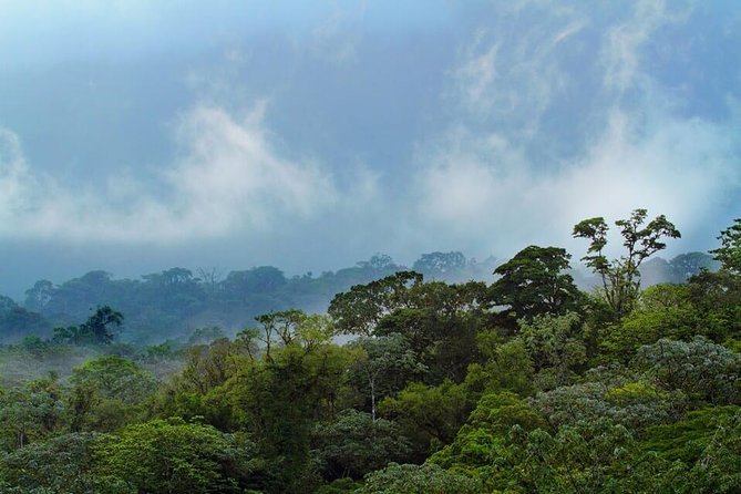 Corcovado National Park One Day Tour - Wildlife Spotting Opportunities