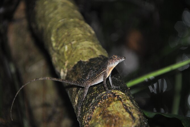 Corcovado Tour-1 Night at Sirena Station-Starting and Finishing in Drake Bay - Location and Accessibility