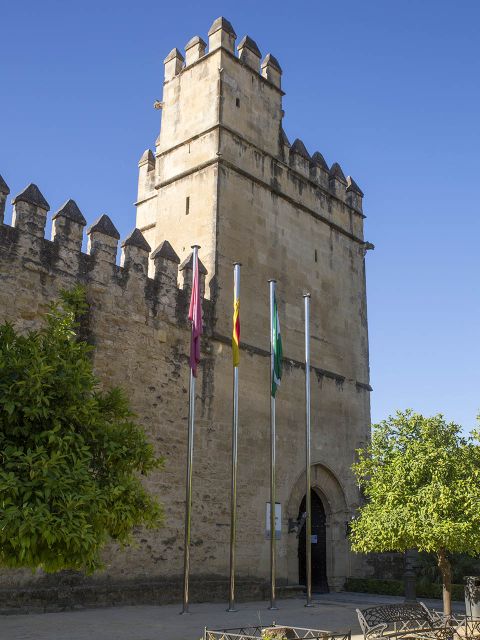 Cordoba: Alcazar Guided Tour and Skip-the-Line Ticket - Historical Significance