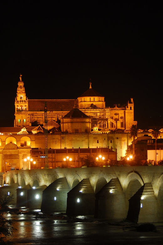 Cordoba at Night by Bike, Electric Bike - Key Points