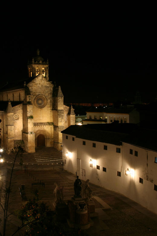 Cordoba at Night by Bike, Electric Bike - Included Amenities