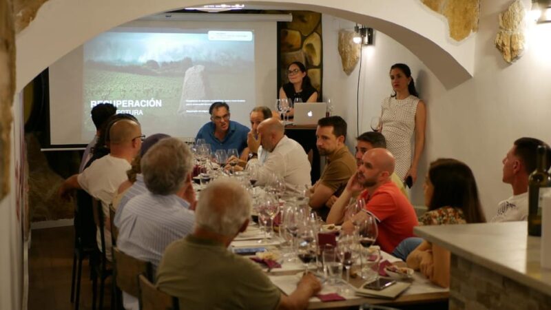 Cordoba: Blind Wine Tasting With Tapas Pairing - Key Points