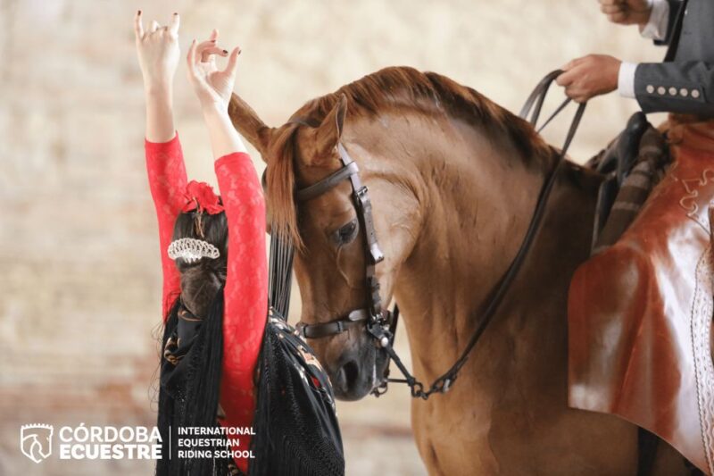 Cordoba: Caballerizas Reales Equestrian Show Entry Ticket - Highlights of the Equestrian Show