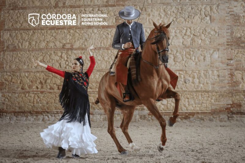 Cordoba: Caballerizas Reales Equestrian Show Entry Ticket - Visitor Information and Accessibility