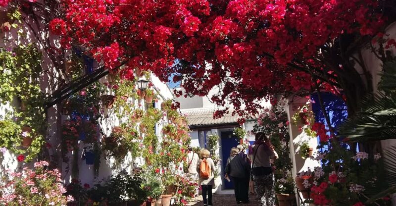 Cordoba Courtyards by Bike, Electric Bike - Highlights and Experience
