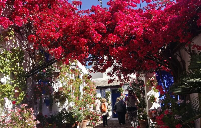 Cordoba Courtyards by Bike, Electric Bike - Tour Duration