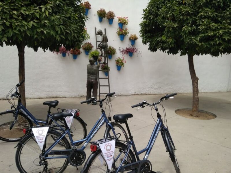 Córdoba Daily Highlights Bike Tour - Customer Feedback