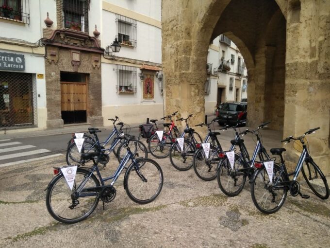 Córdoba Daily Highlights Bike Tour - Recommendations and Insights