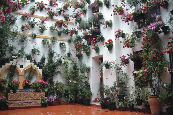 Cordoba Day Trip From Malaga - Accessibility and Additional Information