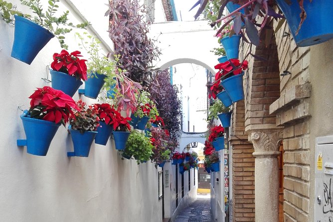 Cordoba Day Trip From Malaga - Recap