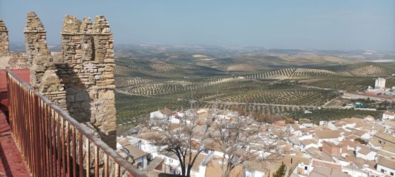 Córdoba: Ducal Castle Guided Walking Tour - Key Points
