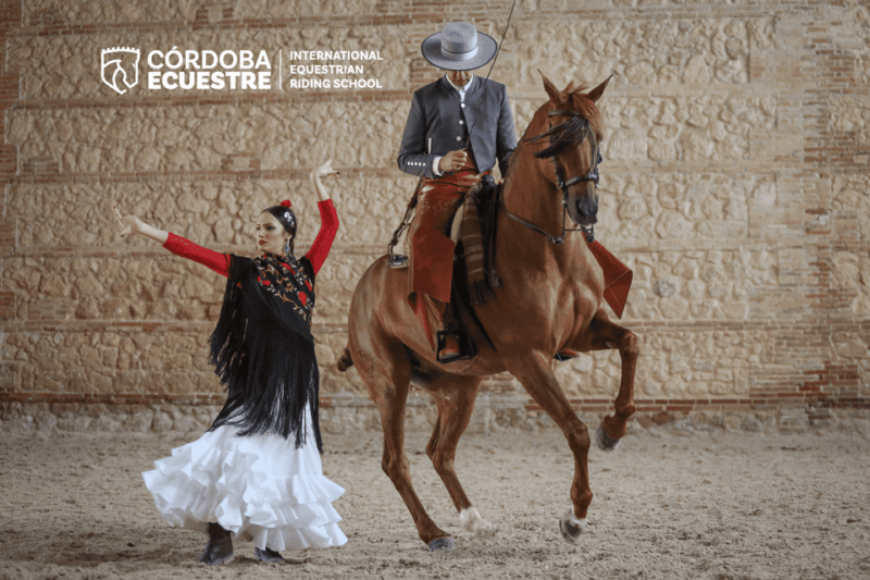 Cordoba: Equestrian Show General Entry - Show Description