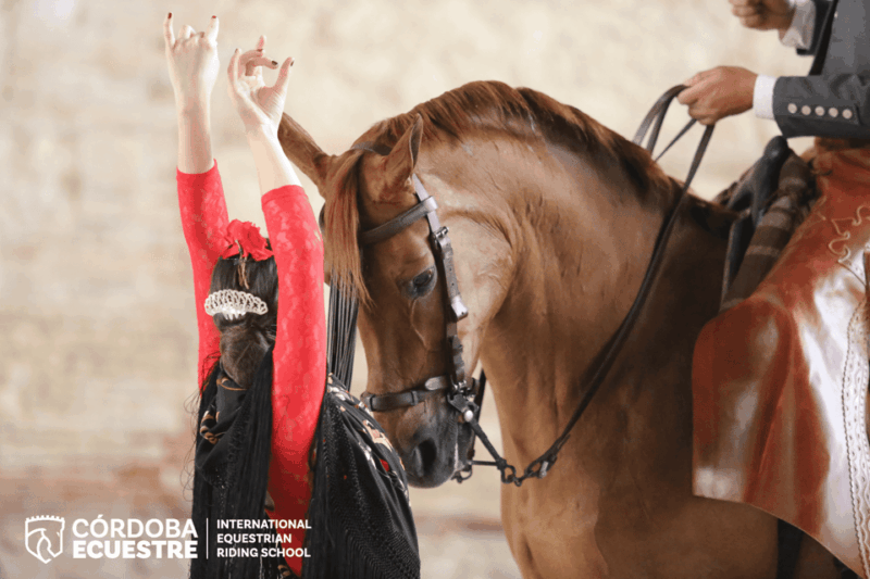 Cordoba: Equestrian Show General Entry - Customer Reviews