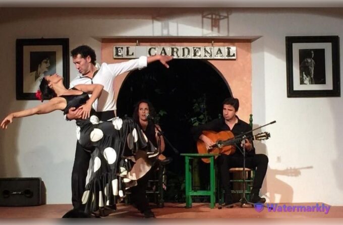 Córdoba: Flamenco Show Ticket With Drinks - Inclusions and Exclusions
