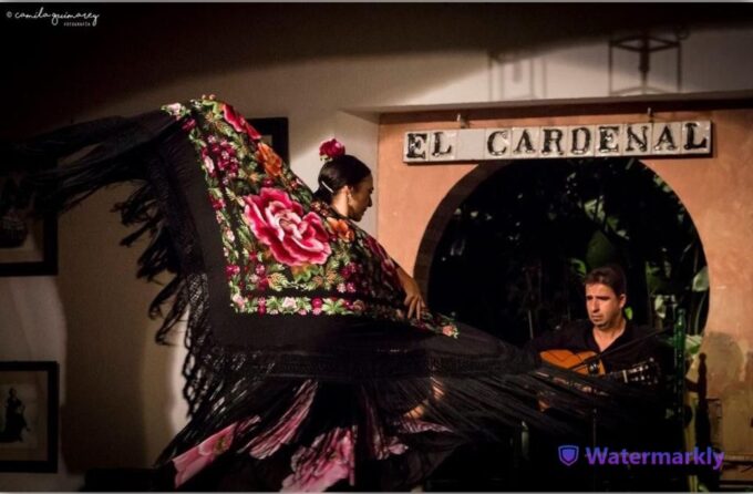 Córdoba: Flamenco Show Ticket With Drinks - Accessibility and Transportation