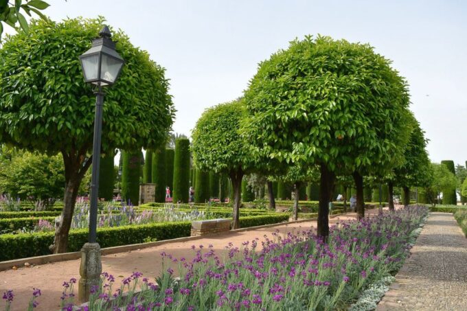 Cordóba: Gardens & Fortress of Catholic Monarchs Guided Tour - Languages Offered