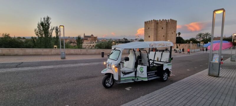 Córdoba: Guided City Tour by Tuk-Tuk - Activity Highlights