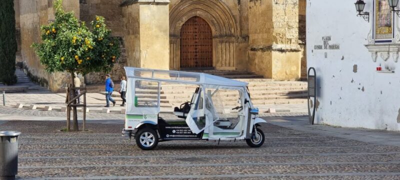 Córdoba: Guided City Tour by Tuk-Tuk - Inclusion and Logistics