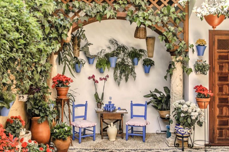 Córdoba: Guided Tour of the Patios - Key Points