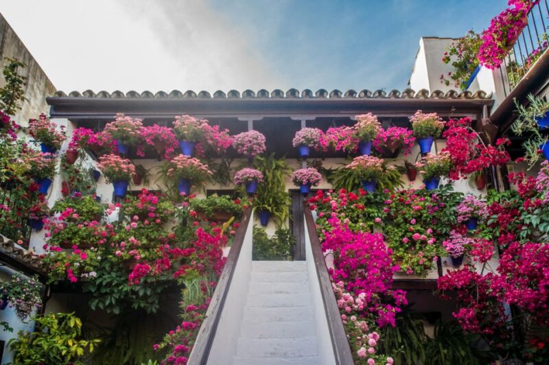 Córdoba: Guided Tour of the Patios - Highlights of the Tour