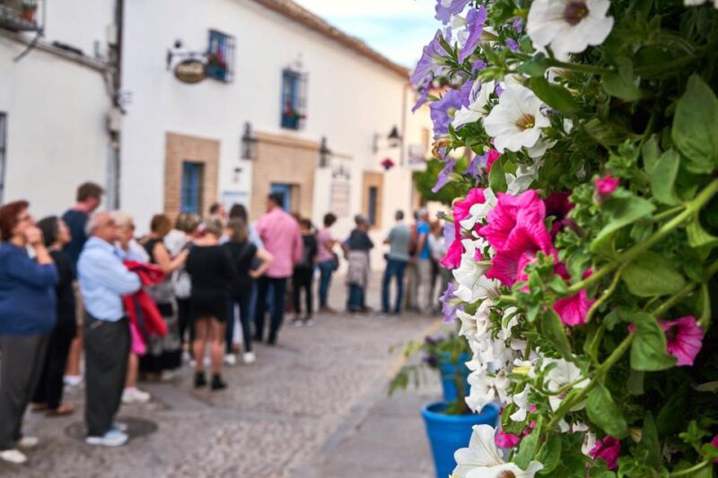 Córdoba: Guided Tour of the Patios - Whats Included in the Tour